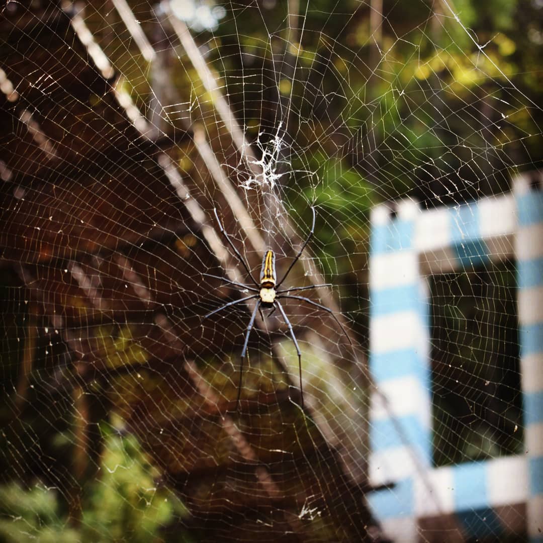 Meghalaya, India