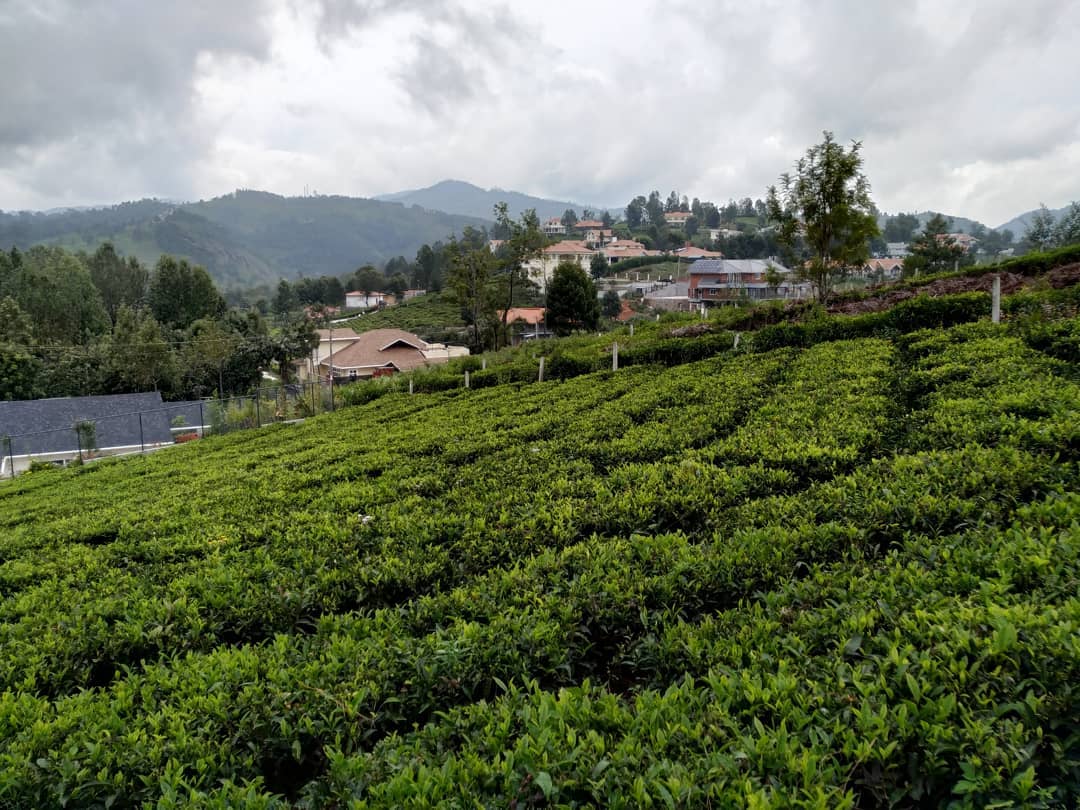 Tamil Nadu, India