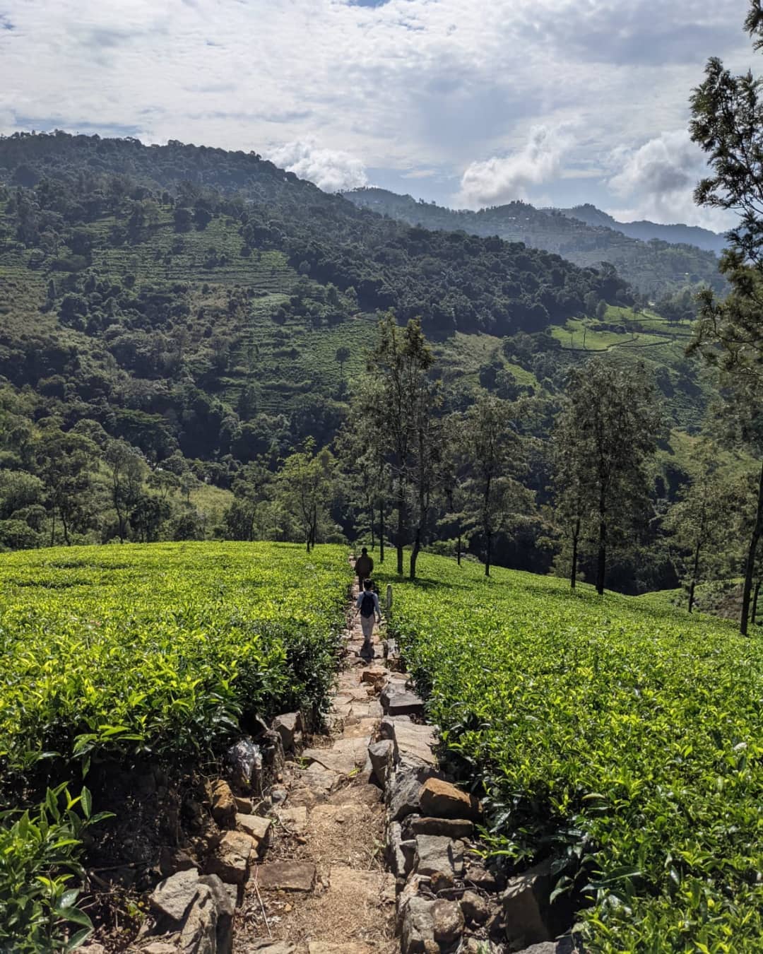Kerala, India