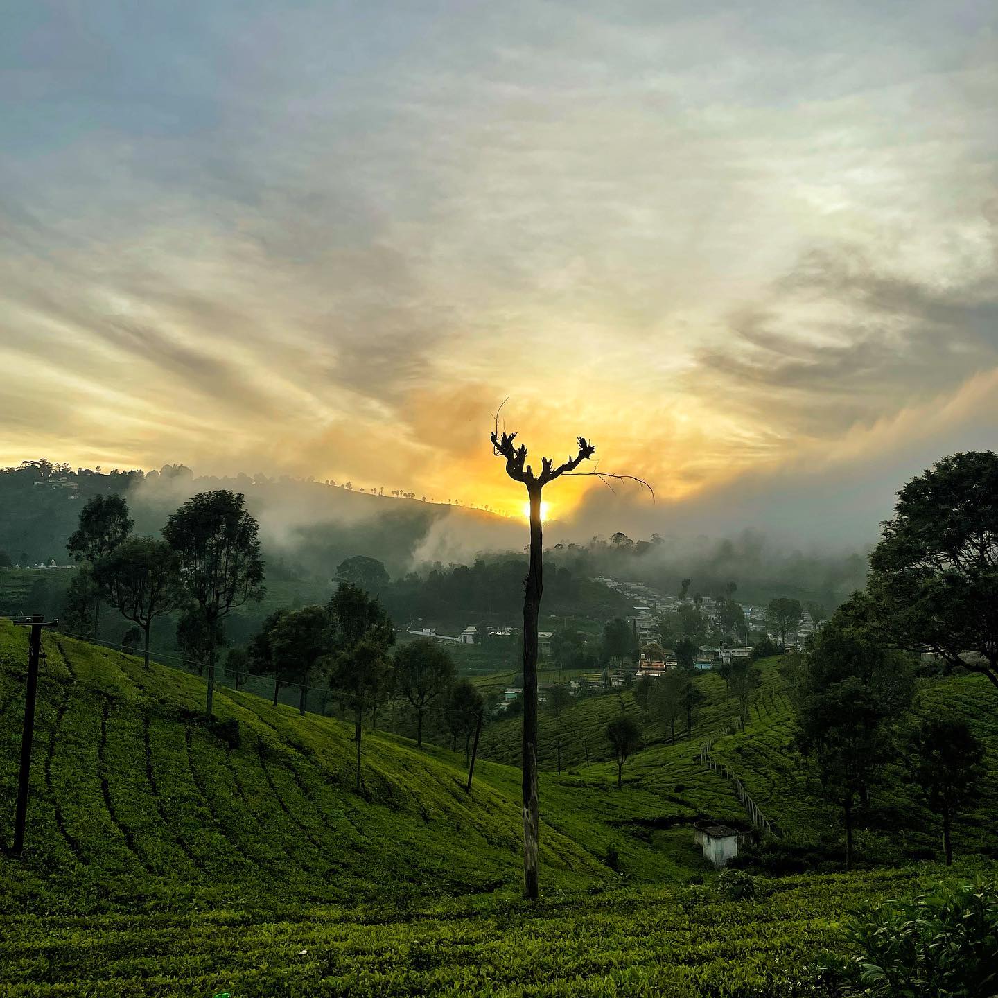 Tamil Nadu, India