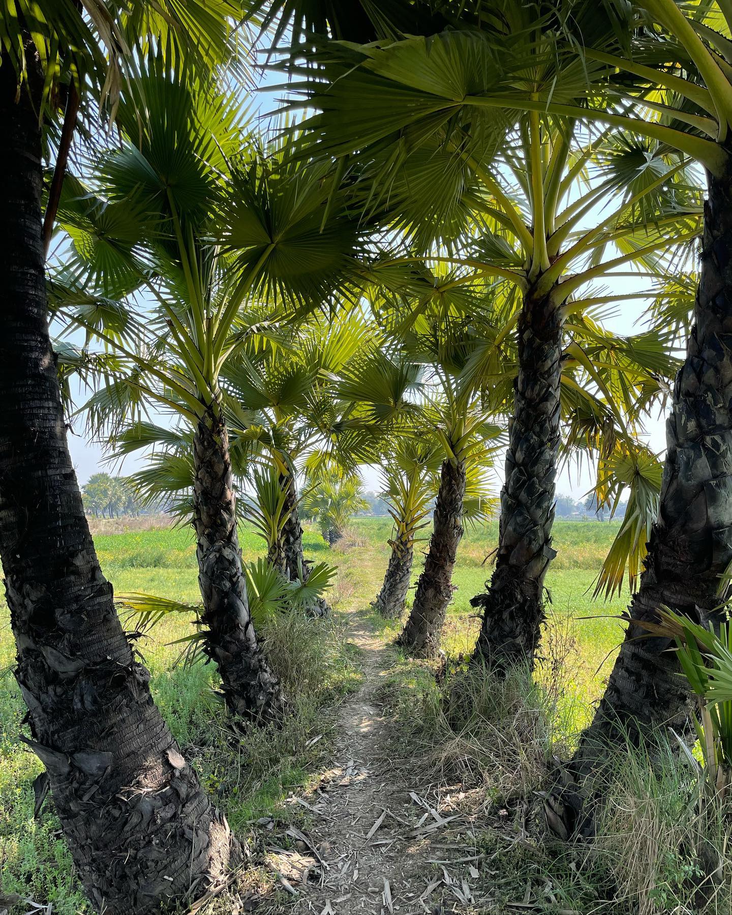 Bihar, India
