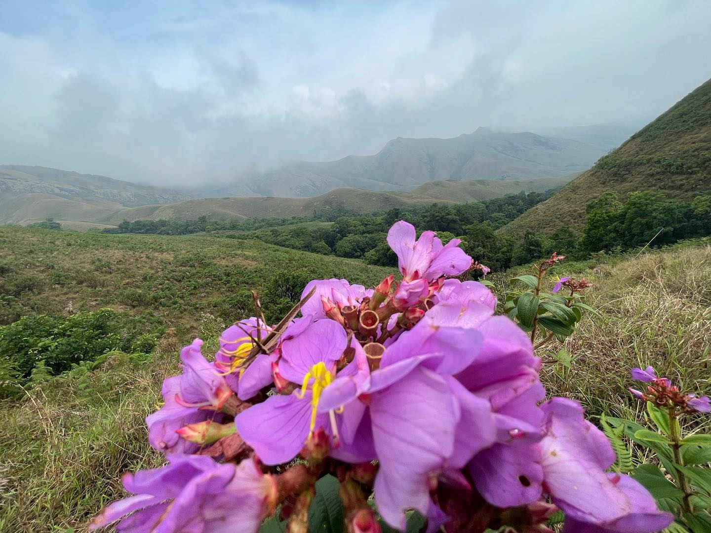 Coastal Karnataka, India