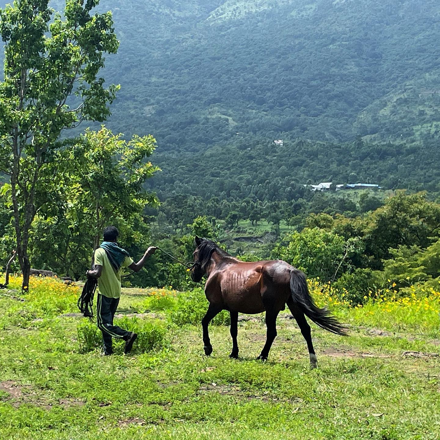 Kerala, India