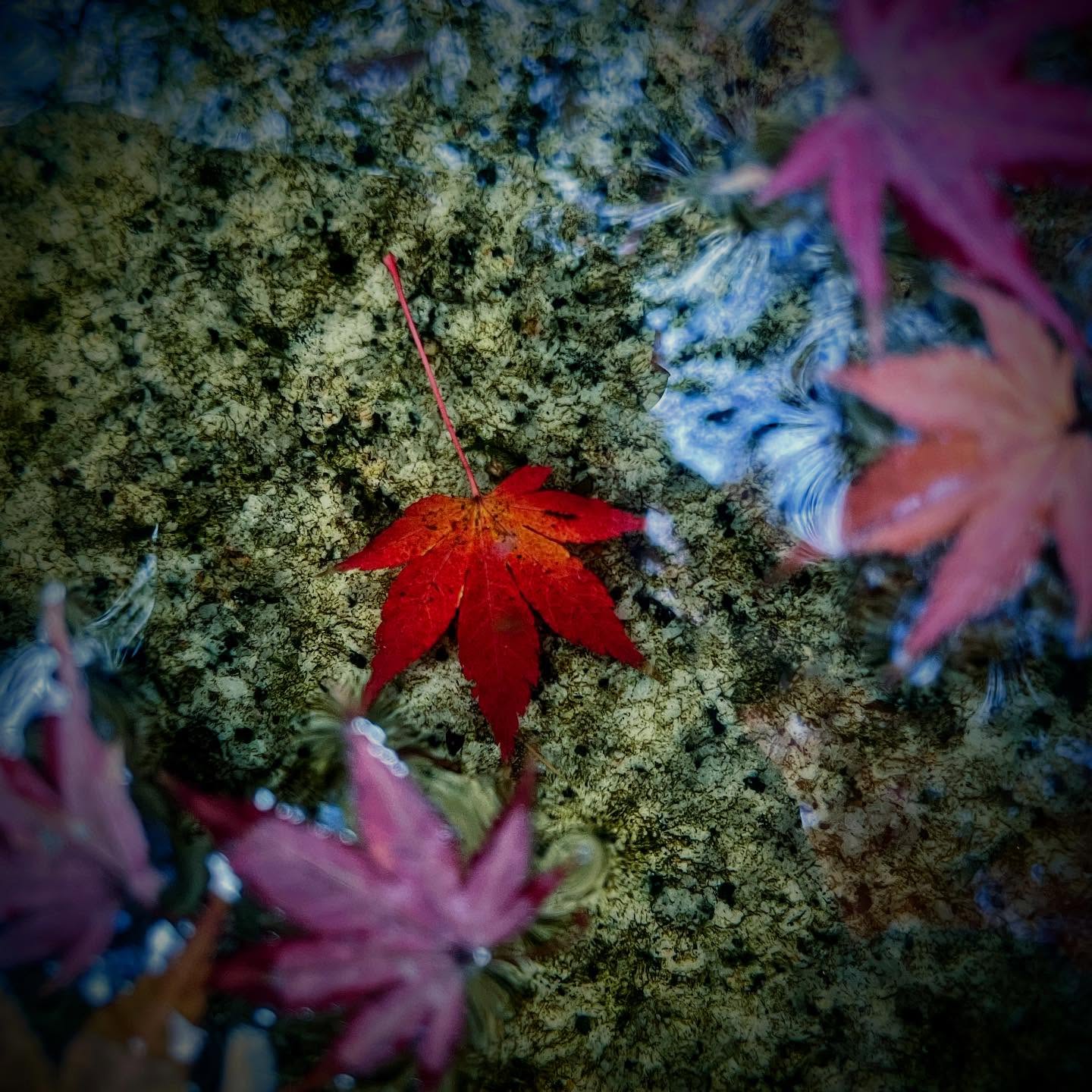 Tokyo, Japan